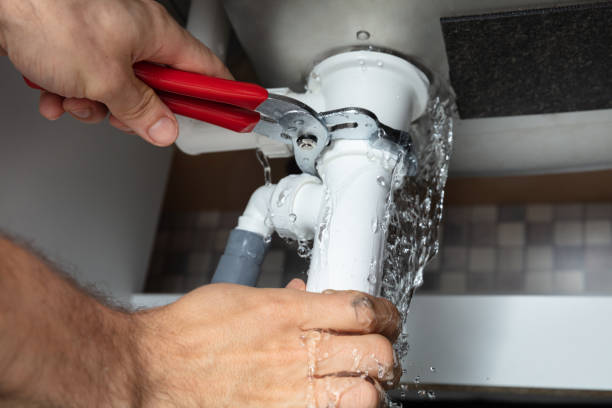 Best Flooded house restoration  in Tuscola, IL