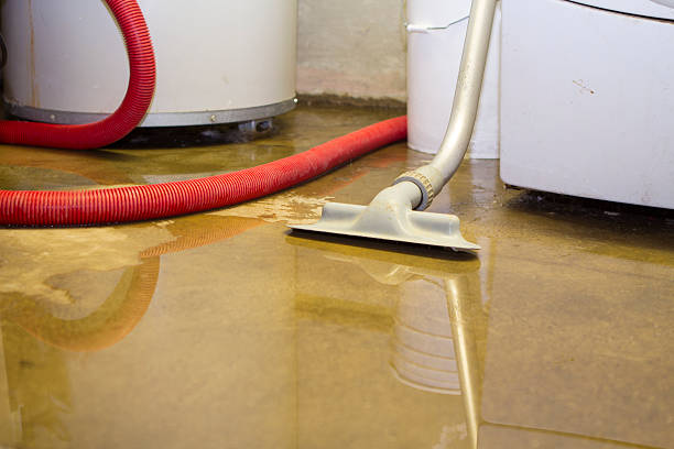 Best Water damage restoration near me  in Tuscola, IL
