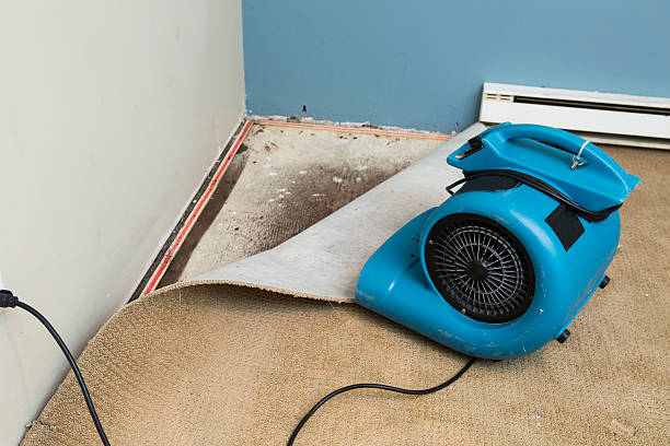 Best Residential water damage restoration  in Tuscola, IL